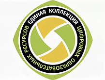 Единая коллекция